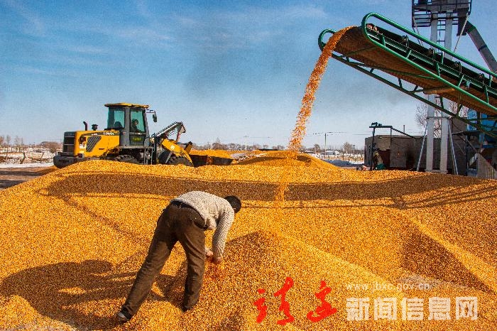 铿锵奋进绽芳华