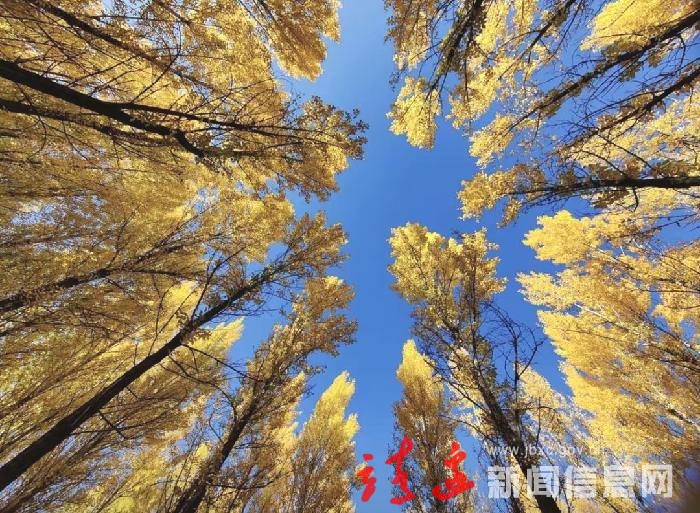 靖边：秋天行旅季，风景正当时…