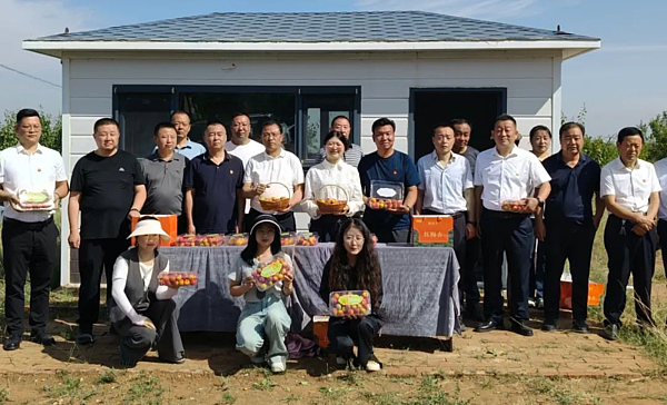 党建引领“杏”福路！靖边县林业系统主题党日助农增收