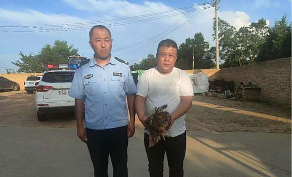 “雕鸮”受难，靖边森林民警暖心救助…