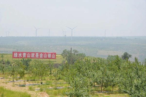 【走进乡村看振兴】镇靖镇：黄土坡上结出“致富果”