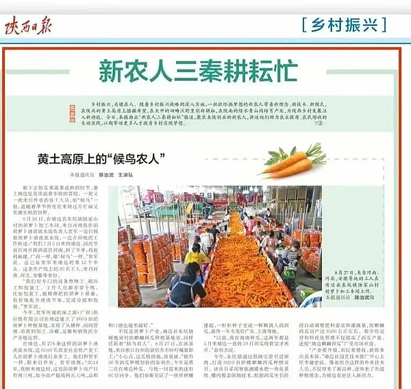 【陕西日报关注靖边】黄土高原上的“候鸟农人”