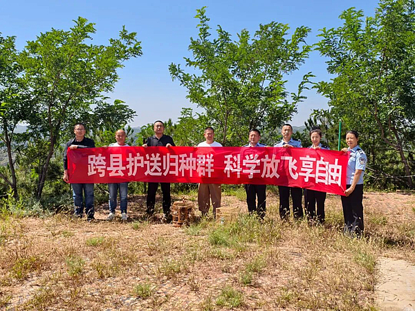 靖边：63只野生鸟类都已安置妥当！