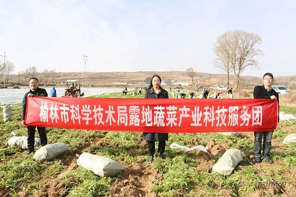 【走进乡村看振兴】靖边：市级服务团科技助农 激活发展新动能