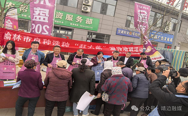 【乡村振兴加速度】靖边：良种“赶大集” 农技入民心