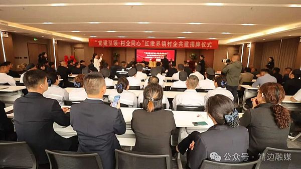 【乡村振兴加速度】靖边县红墩界镇：村企共建促振兴