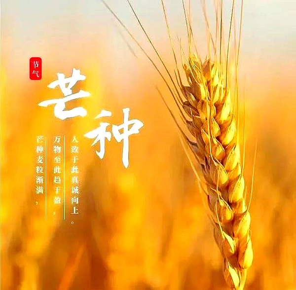 等一个雨脚