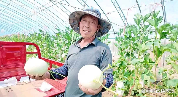 镇靖镇：农旅融合促产业蝶变